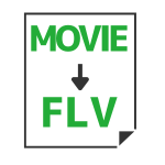 Movie to FLV