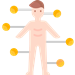 体表面積（BSA）計算