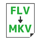 FLV→MKV変換