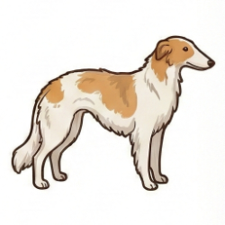 ボルゾイのイラスト